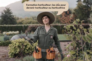 Formation horticulteur : les clés pour devenir horticulteur ou horticultrice
