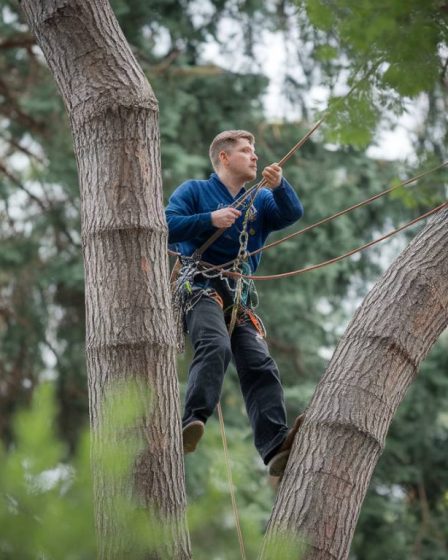 Formation grimpeur-élagueur : métier d'arboriste élagueur en hauteur