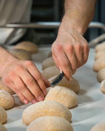 Devenir boulanger : ce que le cap boulangerie ne vous dit pas sur le métier au quotidien